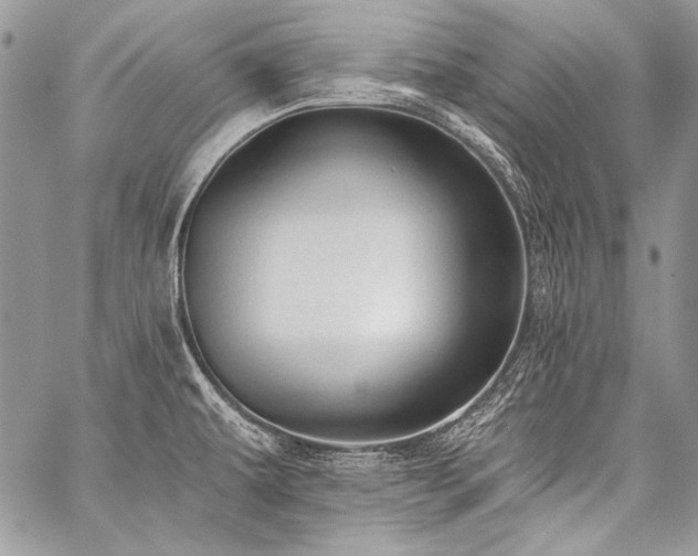X0000059221479200510141000
