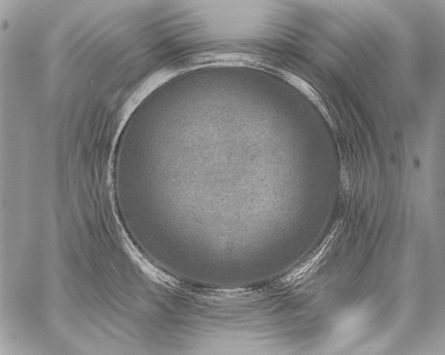 X0000059221482200510141000