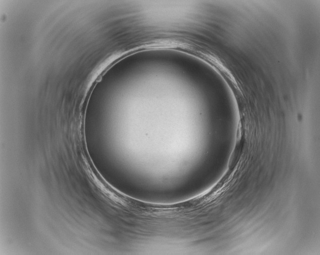 X0000059221484200510141000