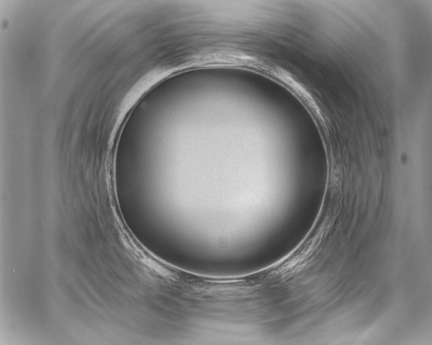 X0000059221486200510141000