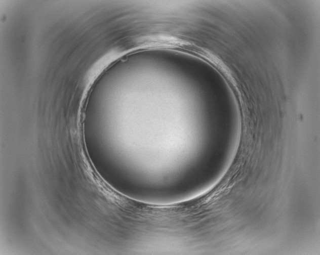 X0000059221488200510141000