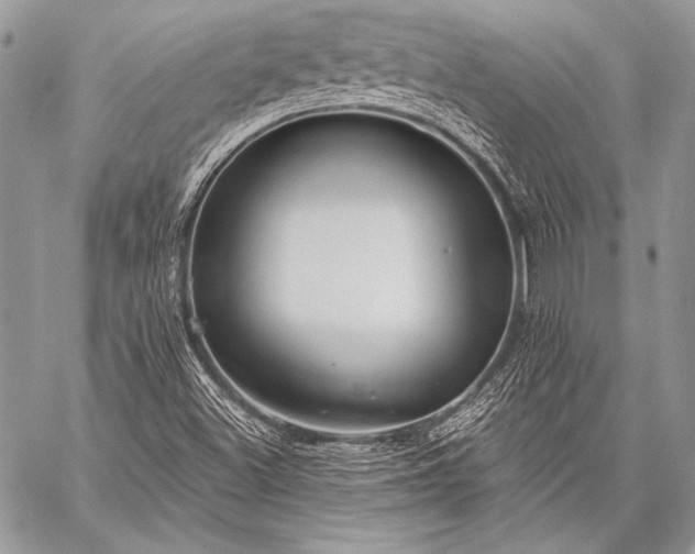 X0000059221500200510140959