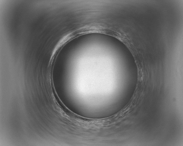 X0000059220004200510171436