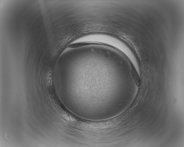 X0000059220017200510171436