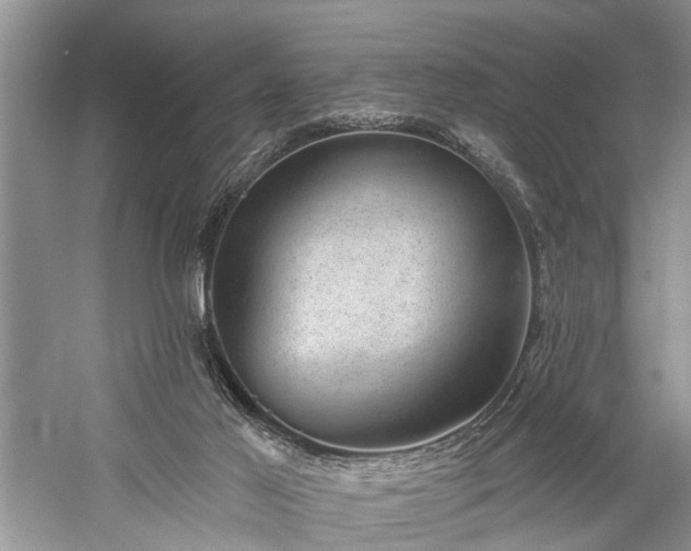 X0000059220021200510171436