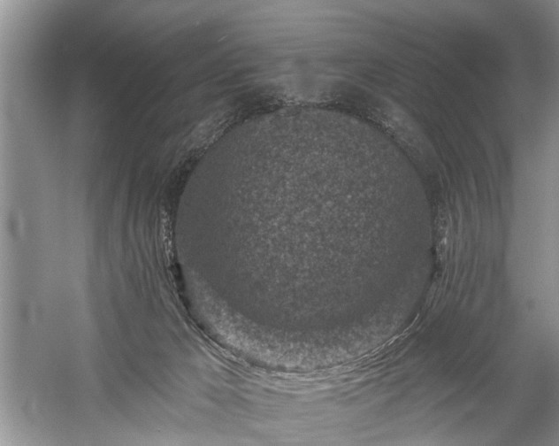 X0000059220029200510171436