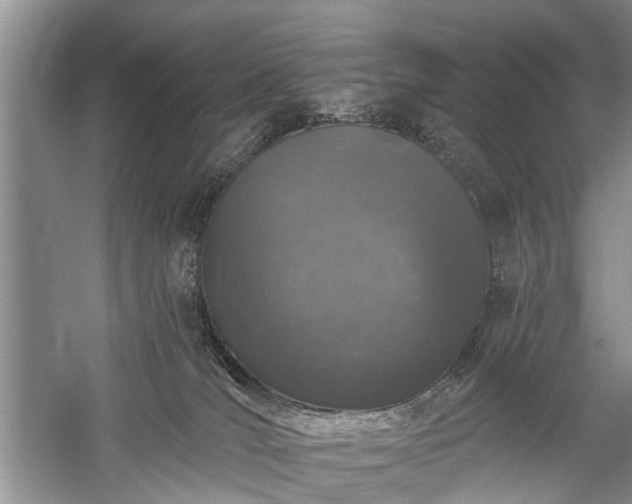 X0000059220036200510171435