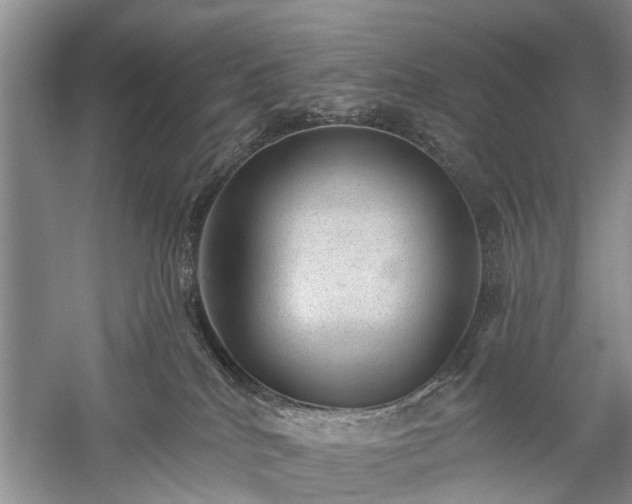 X0000059220040200510171435
