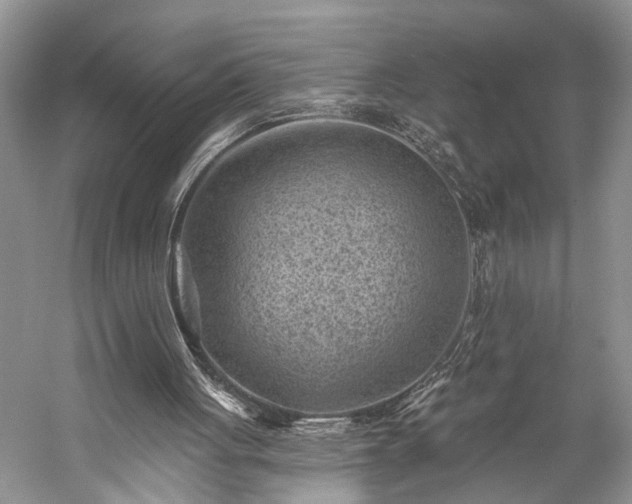 X0000059220051200510171434