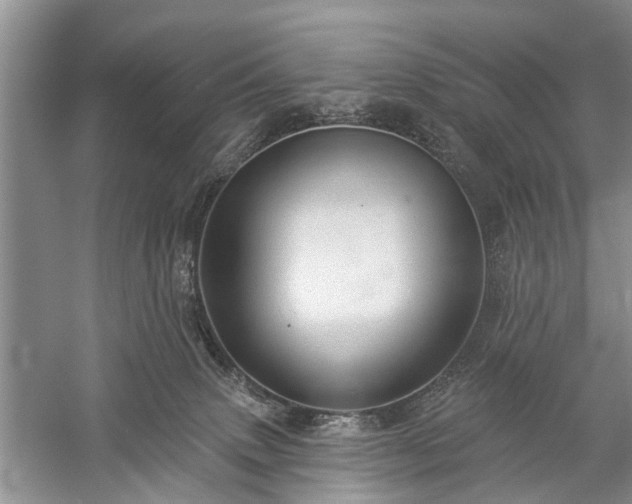 X0000059220083200510171435