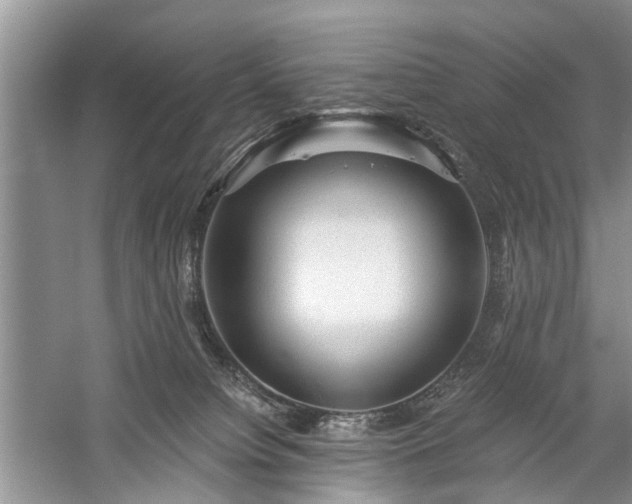X0000059220084200510171435