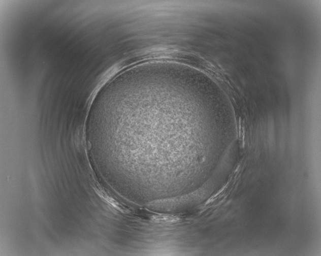 X0000059220099200510171434