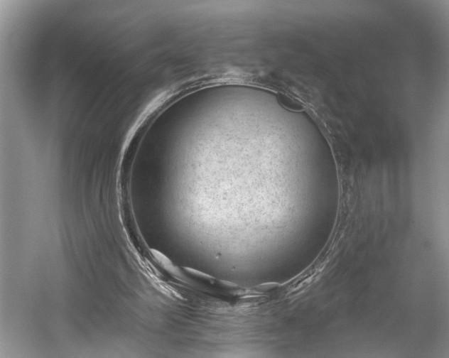 X0000059220102200510171434