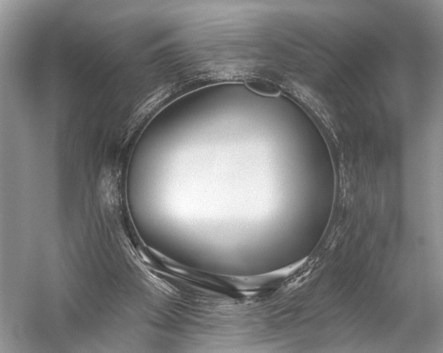 X0000059220105200510171434
