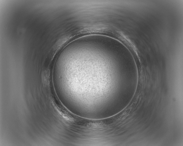 X0000059220107200510171434