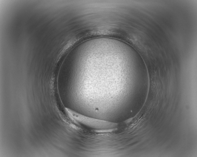 X0000059220111200510171434