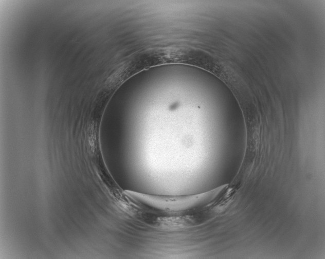 X0000059220129200510171434