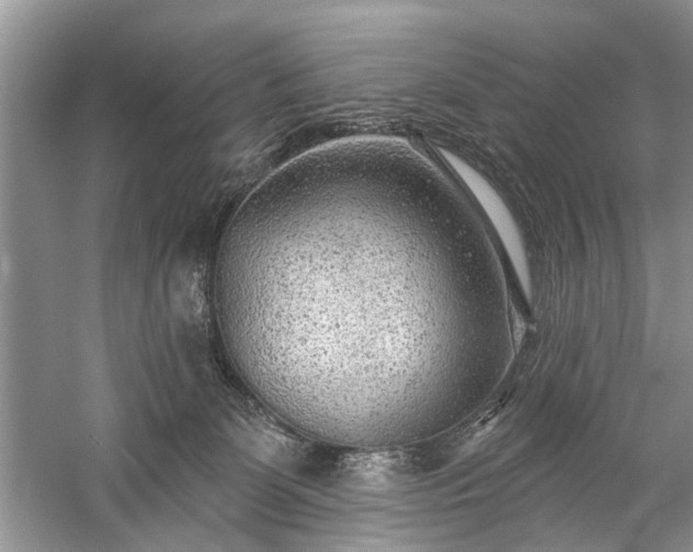 X0000059220131200510171434