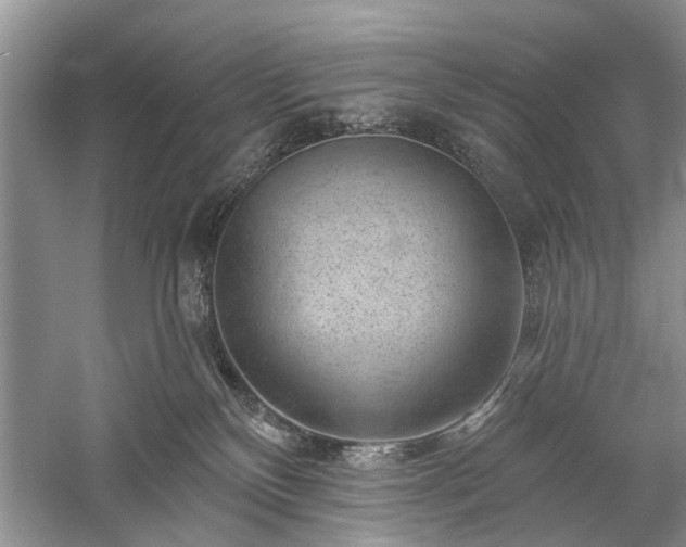 X0000059220136200510171434
