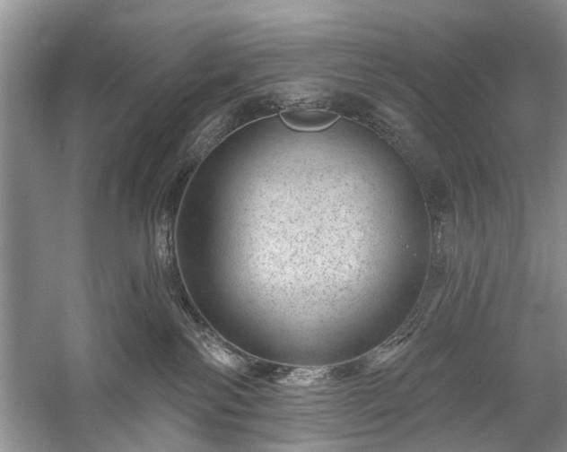 X0000059220138200510171434