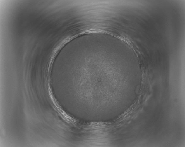 X0000059220145200510171433