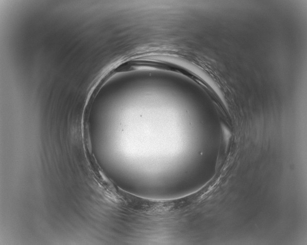 X0000059220148200510171433