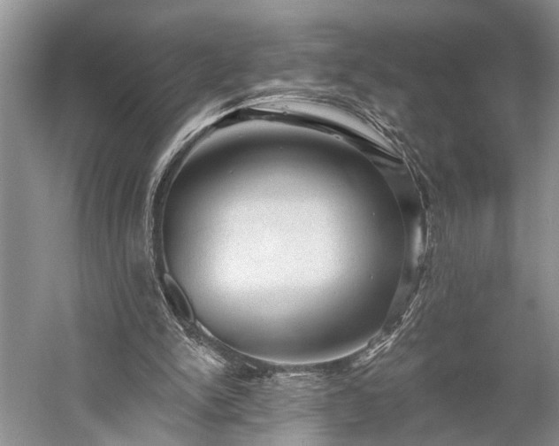 X0000059220150200510171433