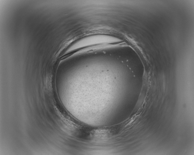 X0000059220154200510171433