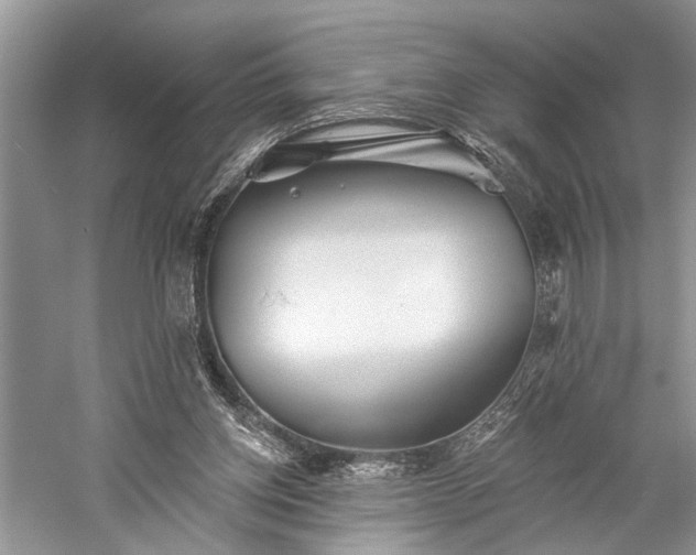 X0000059220158200510171433