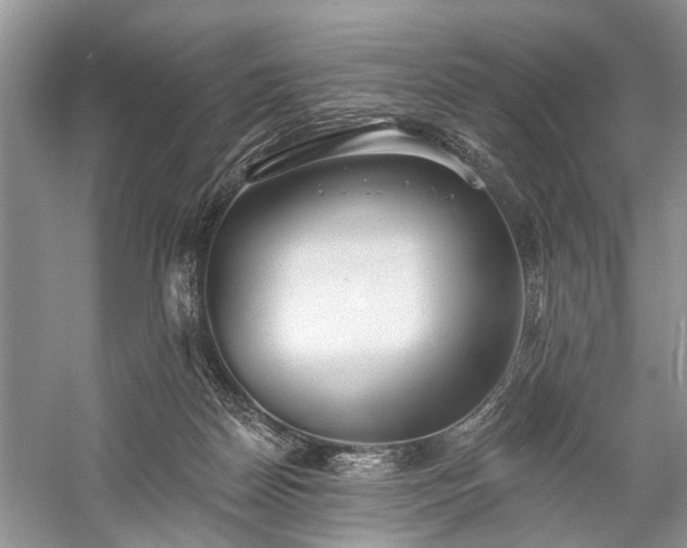 X0000059220170200510171433