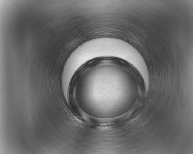 X0000059220189200510171433