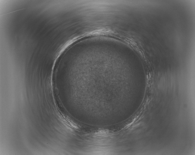 X0000059220196200510171433