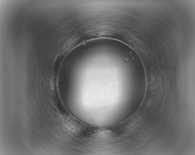 X0000059220210200510171432