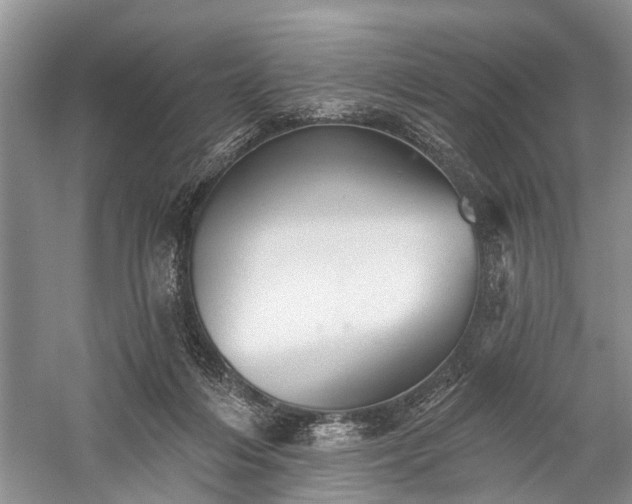 X0000059220216200510171432