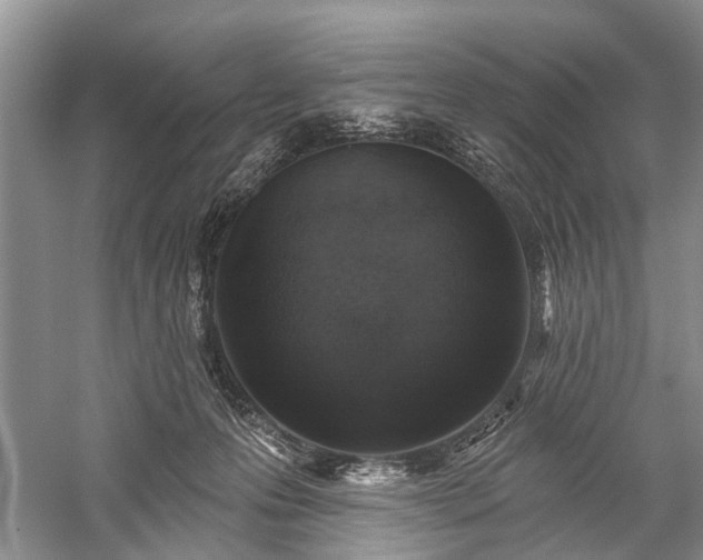 X0000059220223200510171432