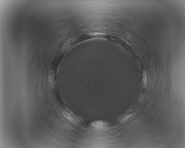 X0000059220231200510171432
