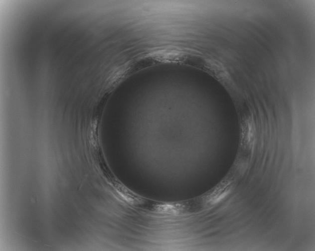 X0000059220239200510171432