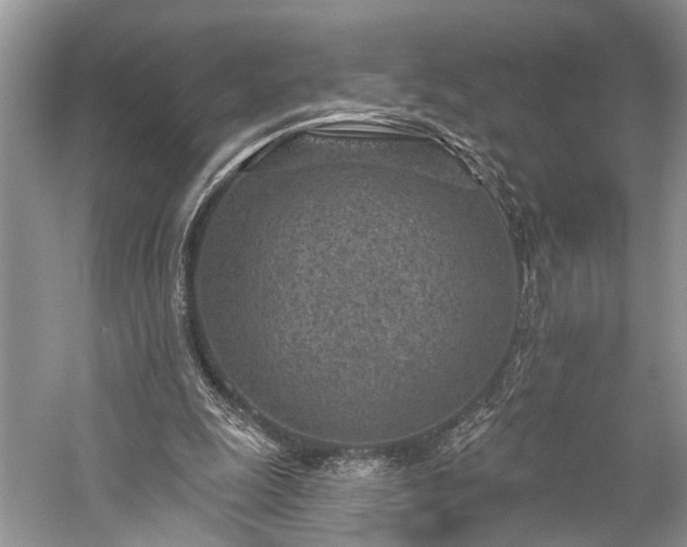 X0000059220247200510171431