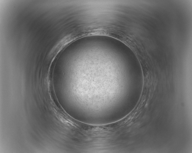 X0000059220290200510171431