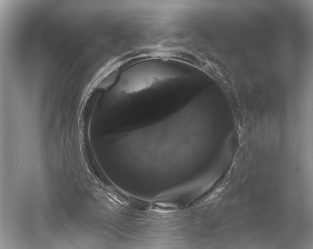 X0000059220295200510171431