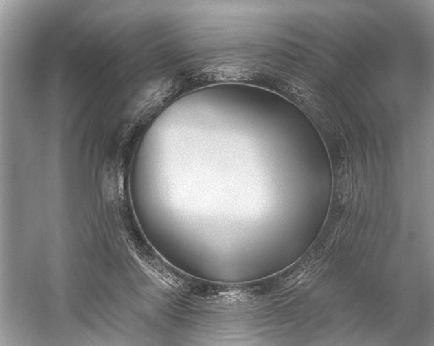 X0000059220310200510171431