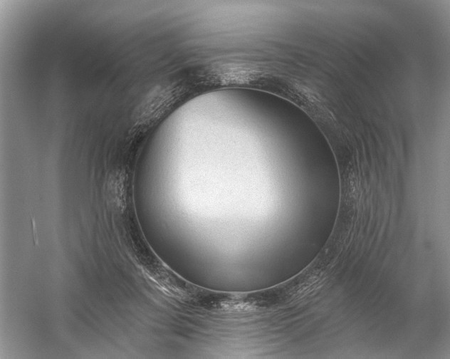 X0000059220311200510171431