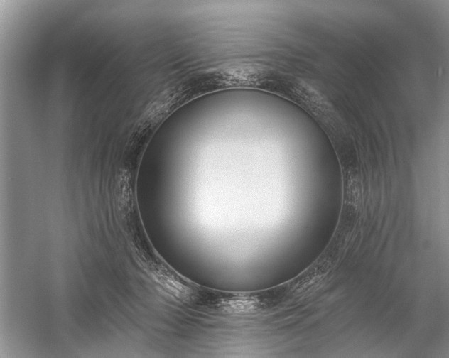 X0000059220318200510171430