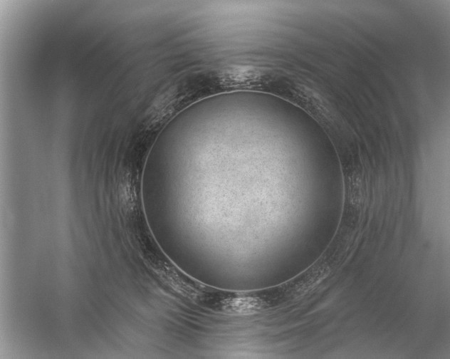 X0000059220324200510171430