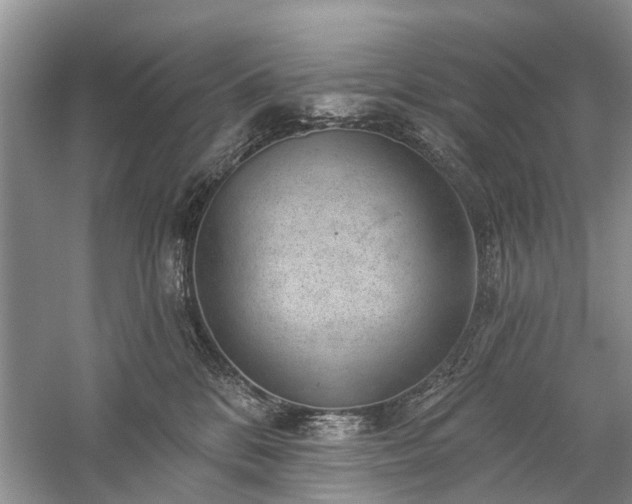 X0000059220328200510171430