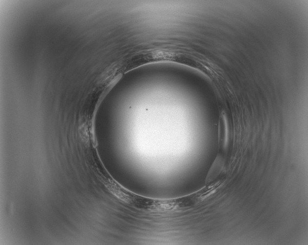 X0000059220329200510171430