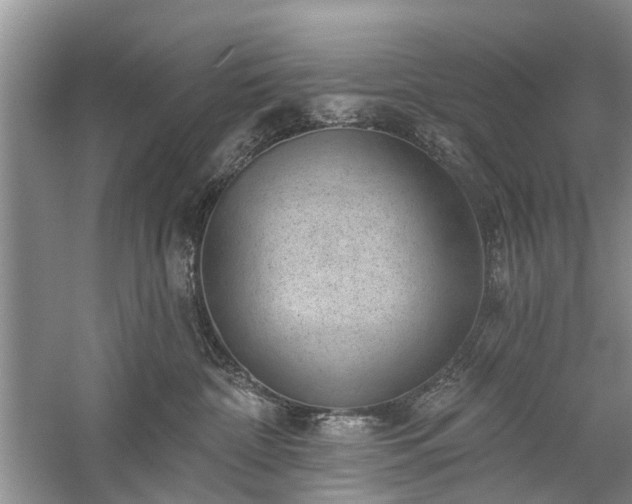 X0000059220332200510171430