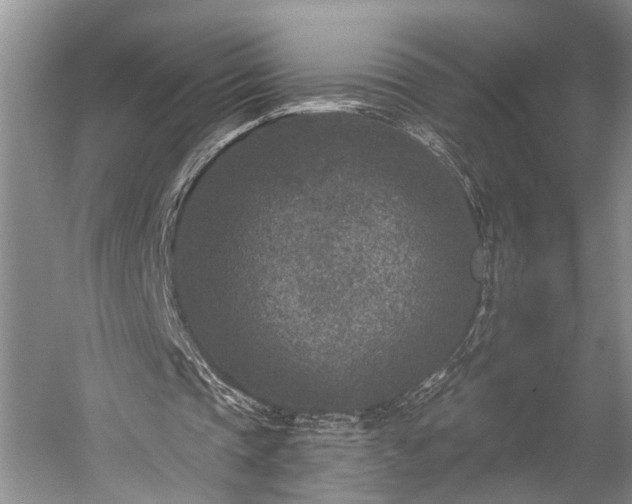 X0000059220337200510171429