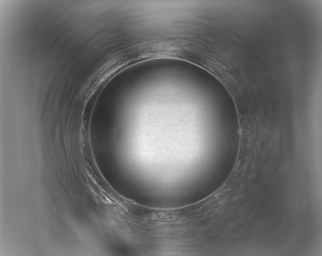X0000059220338200510171429