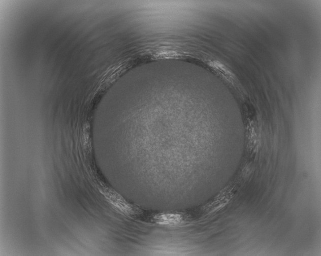 X0000059220361200510171430
